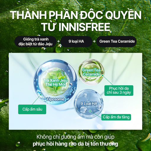 Toner dạng sữa cấp ẩm, phục hồi INNISFREE GREEN TEA CERAMIDE MILK 160mL