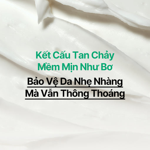 Kem dưỡng ẩm phục hồi INNISFREE GREEN TEA CERAMIDE CREAM 50mL