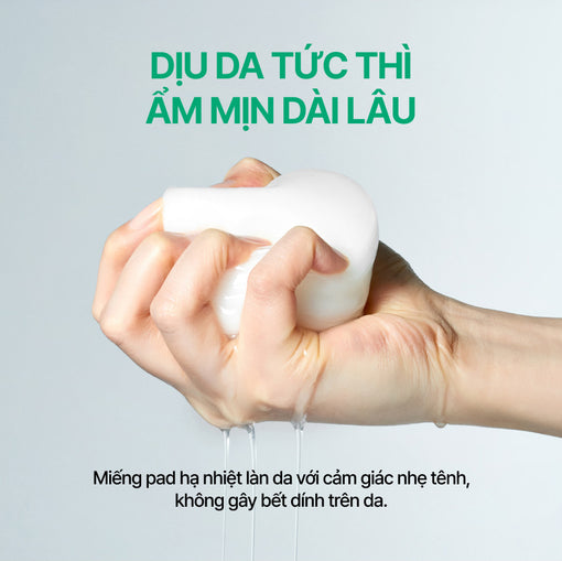 Greentea pad dưỡng ẩm làm dịu da 80 miếng INNISFREE GREEN TEA PANTHENOL CALMING TONER PADS