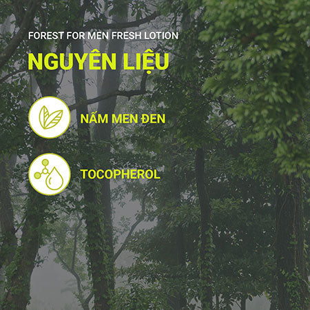 Sữa dưỡng innisfree Forest for men Fresh Lotion 140 mL 