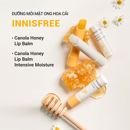 Son dưỡng ẩm không màu INNISFREE Canola Honey Lip Balm 3.5 g