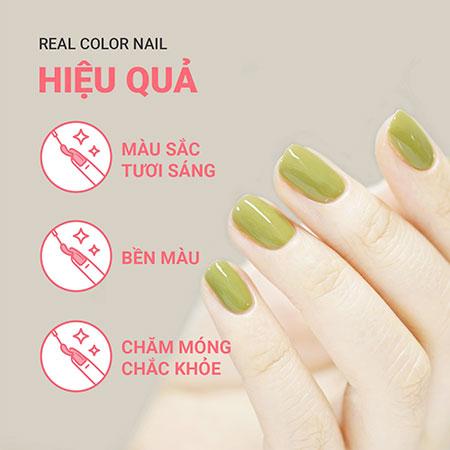 Sơn móng innisfree Real Color Nail 6 mL