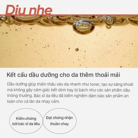 Tinh Dầu Dưỡng Chống Lão Hoá Từ Trà Đen INNISFREE Black Tea Youth Enhancing Oil