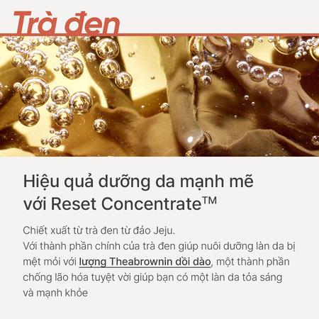 Tinh Dầu Dưỡng Chống Lão Hoá Từ Trà Đen INNISFREE Black Tea Youth Enhancing Oil