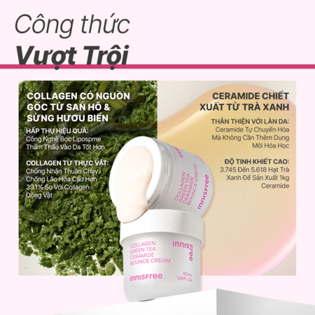 Kem dưỡng giúp làm mờ các dấu hiệu lão hóa trên da INNISFREE Collagen Green Tea Ceramide Bounce Cream 50mL