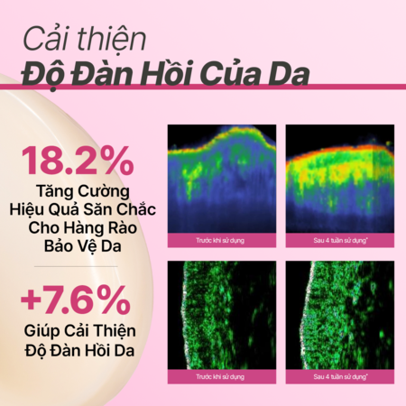Kem dưỡng giúp làm mờ các dấu hiệu lão hóa trên da INNISFREE Collagen Green Tea Ceramide Bounce Cream 50mL