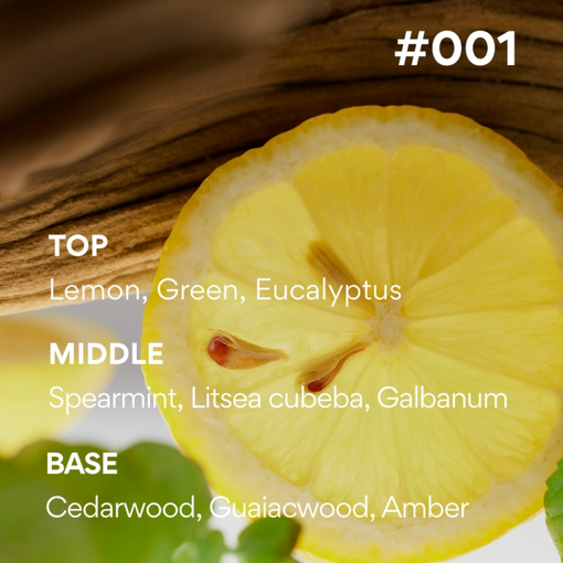 Kem dưỡng ẩm da tay INNISFREE ISLE NUMBER HAND CREAM SEIZE THE MOMENT 50mL