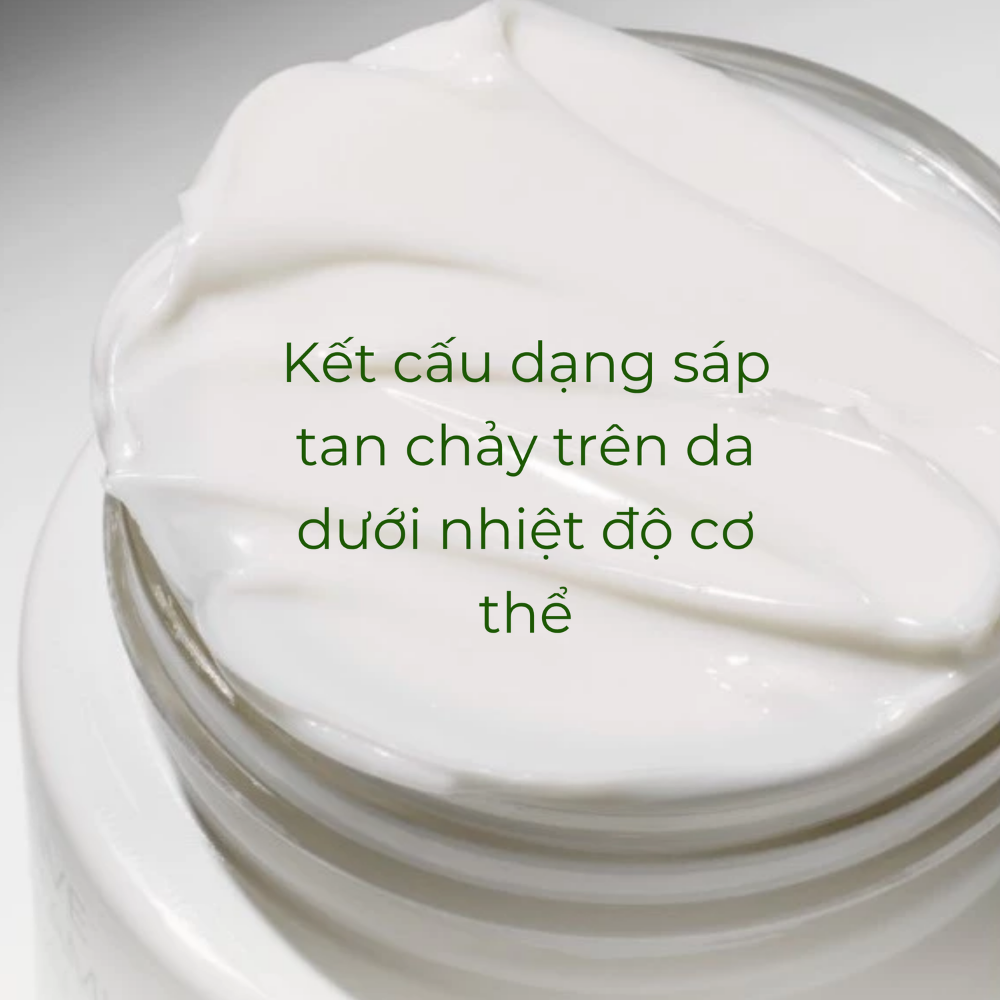 Kem dưỡng ẩm INNISFREE Olive Vitamin E Real Cream 50G