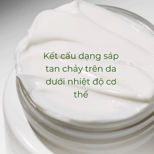 Kem dưỡng ẩm INNISFREE Olive Vitamin E Real Cream 50G
