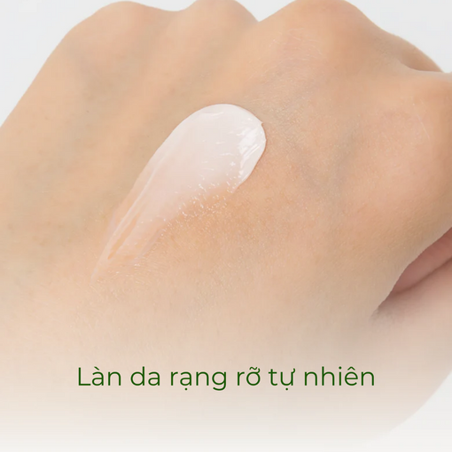 Kem dưỡng ẩm INNISFREE Olive Vitamin E Real Cream 50G