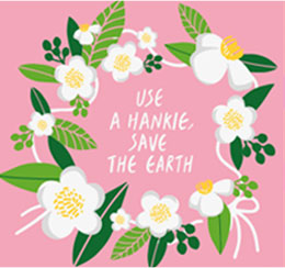 Mùa hè ở Jeju – Hoa trà xanh trắng lấp lánh