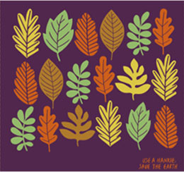 Mùa thu ở Jeju – Lá rụng nhuộm đỏ cả núi Halla