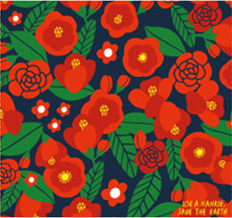 Mùa đông ở Jeju – Hoa trà hé nở giới giá lạnh