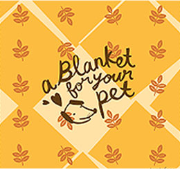 Thiết kế của Yulia