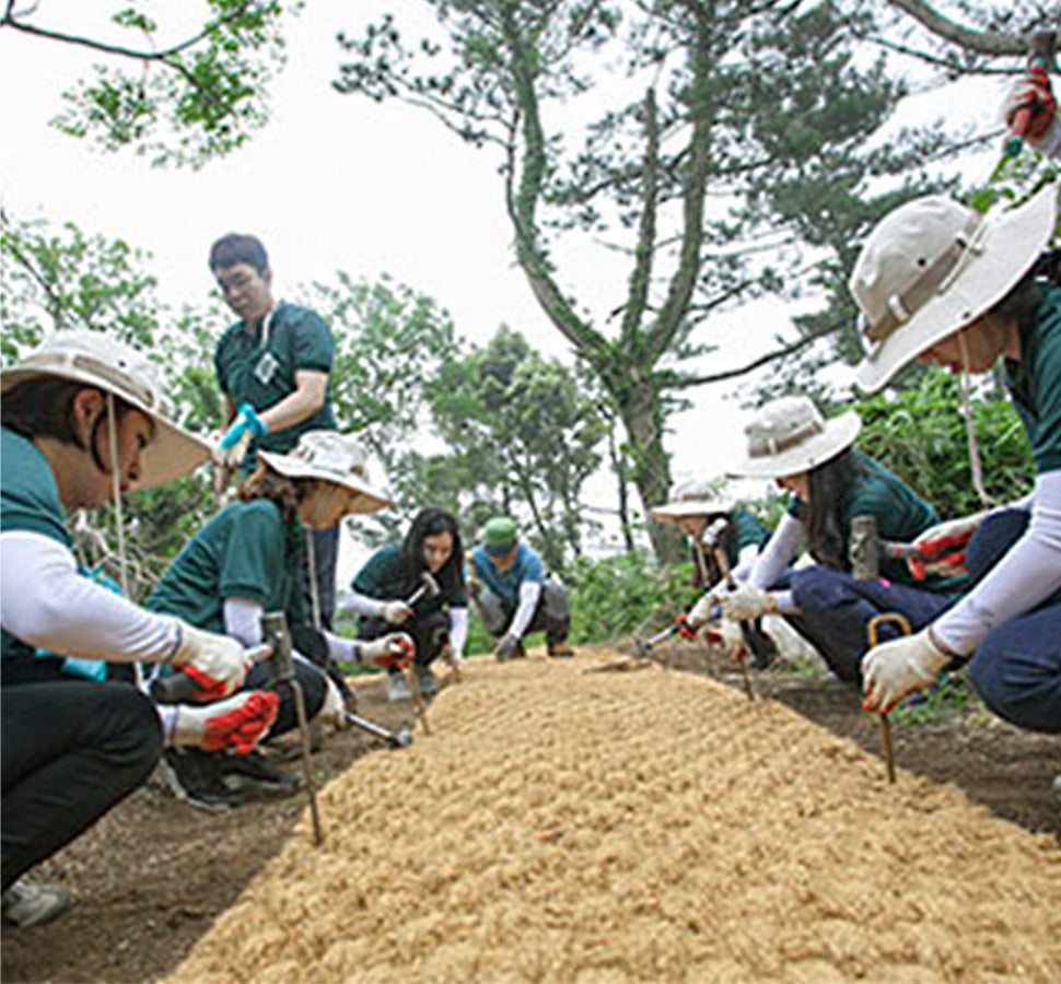 Bắt đầu tài trợ cho con đường Olle tại đảo Jeju