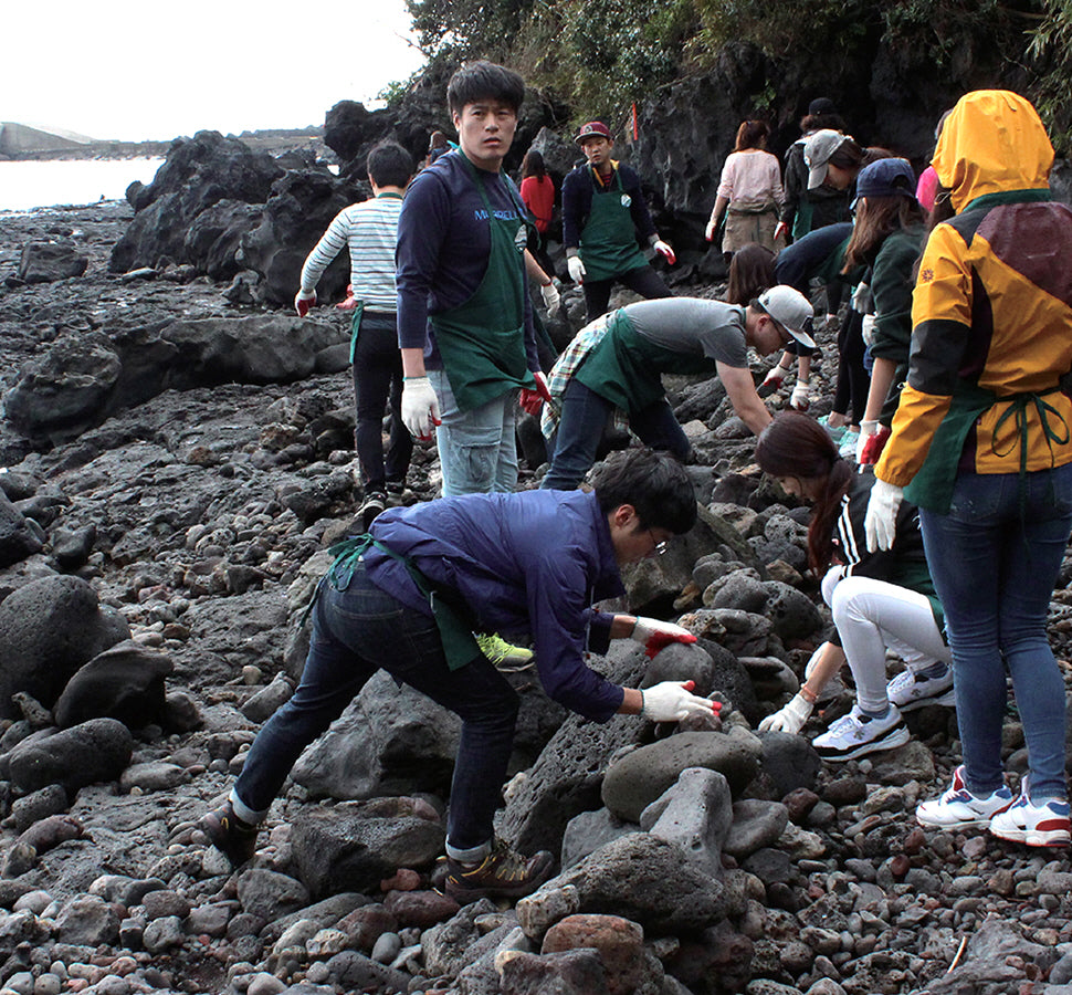 Bắt đầu chiến dịch làm sạch Jeju