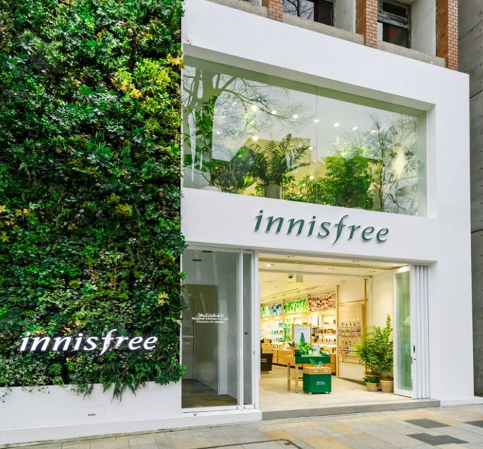 Tiến vào thị trường Nhật Bản (Tháng 3)